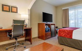 Comfort Suites Downtown Sacramento Ca